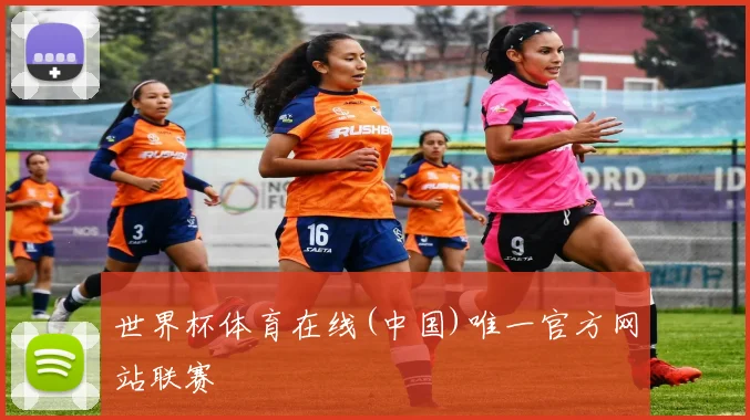 世界杯体育在线(中国)唯一官方网站联赛