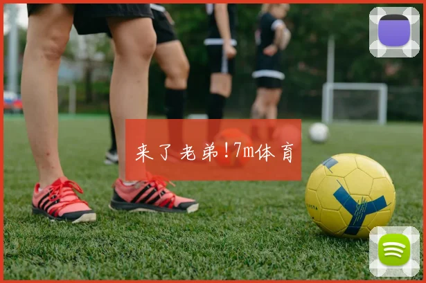 来了老弟!7m体育