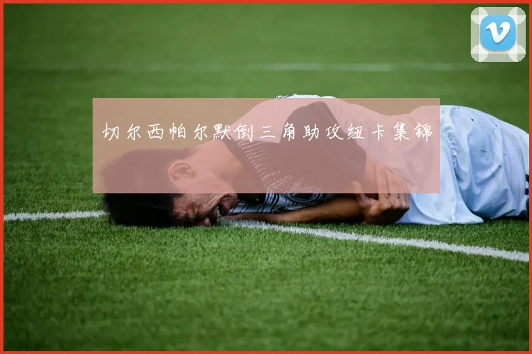 切尔西帕尔默倒三角助攻纽卡集锦