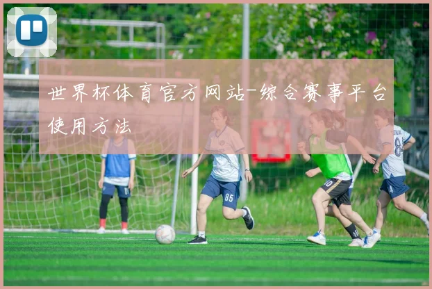 世界杯体育官方网站-综合赛事平台使用方法