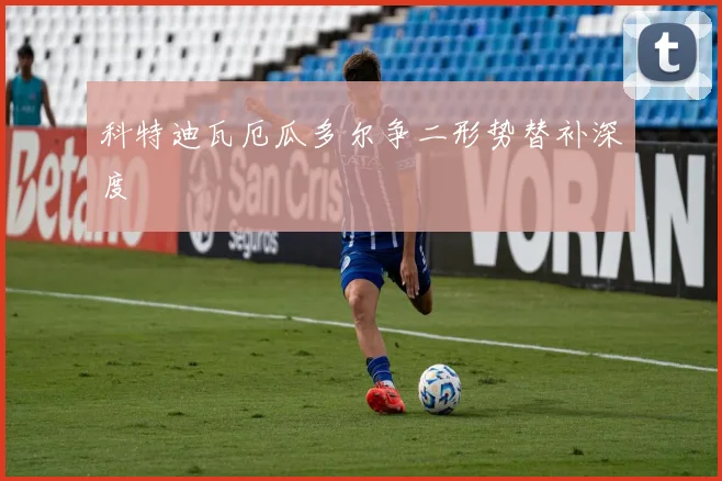 科特迪瓦厄瓜多尔争二形势替补深度