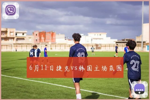 6月11日捷克vs韩国主场氛围