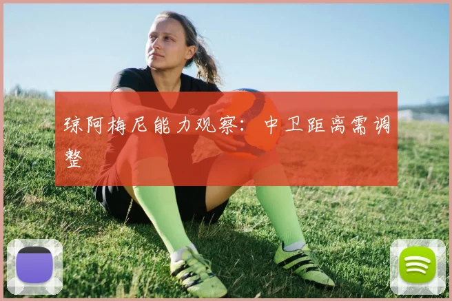 琼阿梅尼能力观察:中卫距离需调整